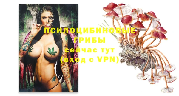 трава Магадан