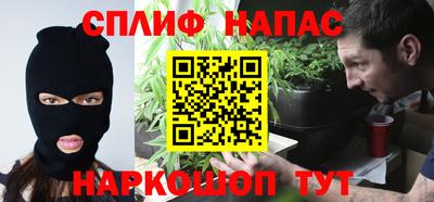 гидра Гусев