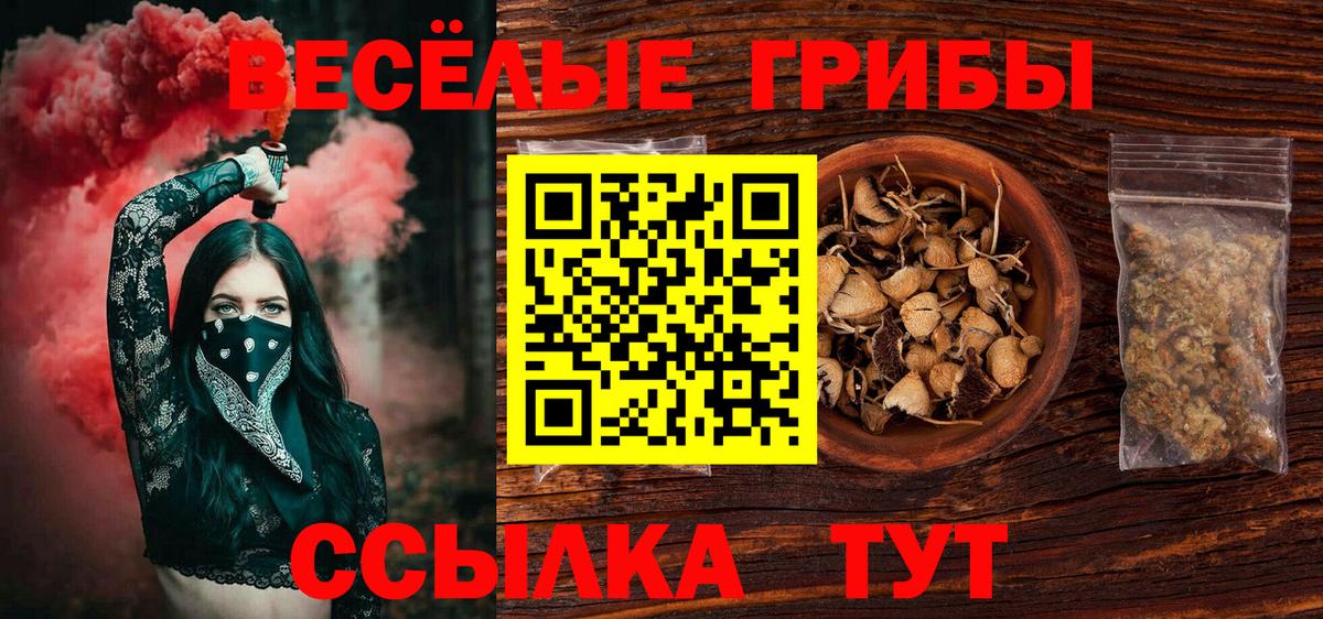 Псилоцибиновые грибы GOLDEN TEACHER  Псилоцибиновые грибы прущие грибы  Вход с VPN  Кашира 