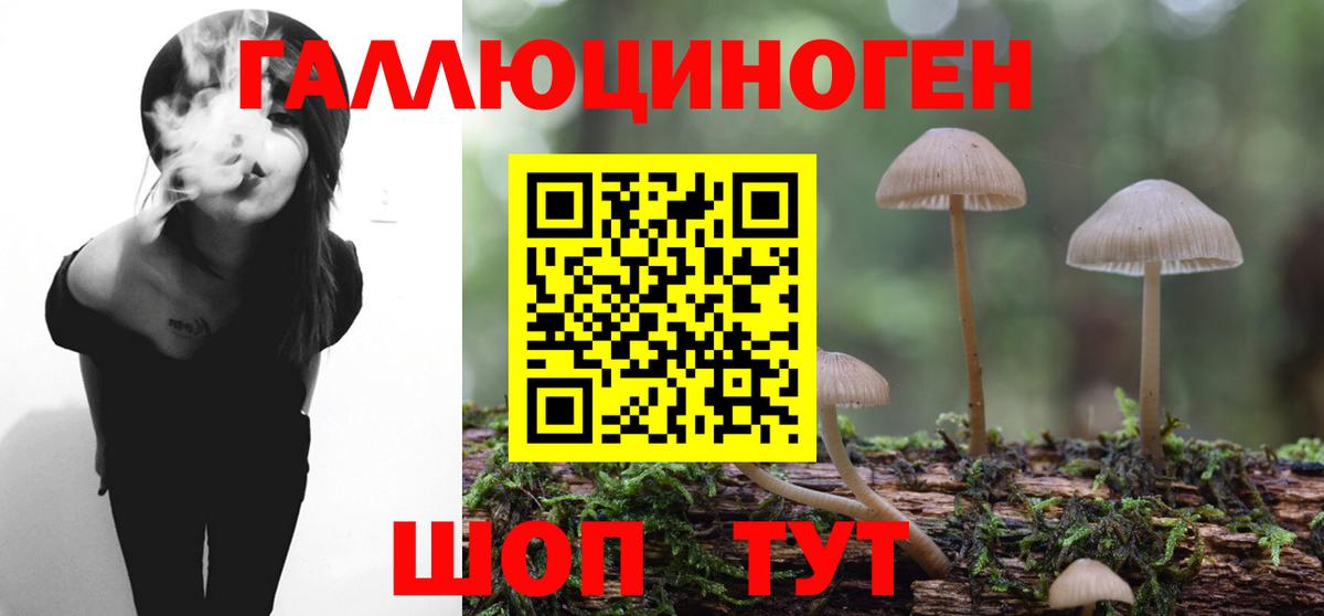 Псилоцибиновые грибы Psilocybine cubensis Кашира